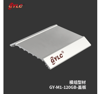 GY-M1-120GB